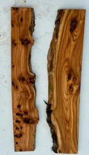 B69 Live Edgr Elm Burl DIY Epoxy River Chacuterie Board 12x24x1 6%mc Birds Eye