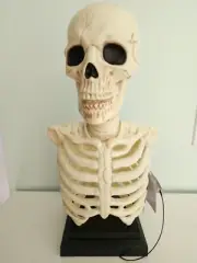 16.5" Skeleton Motion Active Light & Sound Bust