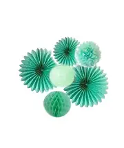 Tissue Paper Pompom Paper Fan Honeycomb Ball and Paper Lantern 6 PK Mint Green