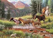 [Cobble Hill] Mountain Thunder Jigsaw Puzzle (1000 Pieces)