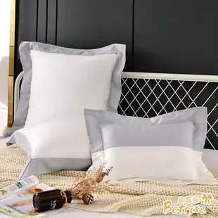 Betrise璀璨白 簡約款 300織紗100%天絲歐式壓框大靠枕/抱枕/午安枕60X60cm(贈精美購物袋x1)
