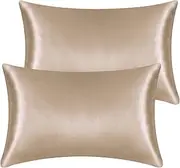 2 Pack Satin Pillowcases for Hair and Skin, Super Soft Silky Pillow Cases with Envelope Closure, Less Friction Less Wrinkles & Frizz (50 x 75cm, Champagne)