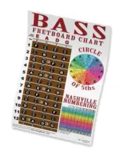 4 String Bass Fretboard Instructional Chart Poster Nashville Numbering Theory