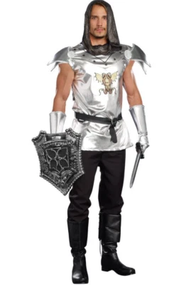 Knight Time Adult Men Costume Large