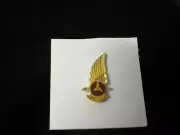 Jacobs Aircraft Engine Co. Lapel Pin, 1930/40s