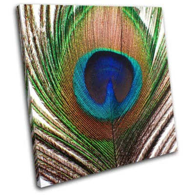 Peacock Feather Animals SINGLE CANVAS WALL ART Picture Print
