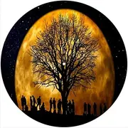 Slipmat Slip Mat Scratch Pad Felt for Any 12" LP DJ Vinyl Turntable Record Player Custom Graphical - Tree Moon