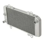 Motorcycle Radiator Cooling Cooler Fit For Kawasaki Ninja 250R EX250 2008-2012
