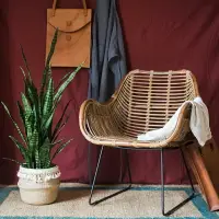 在飛比找樂天市場購物網優惠-掬涵 印尼進口鐵腳藤椅扶手椅餐椅裝飾休閑椅手工藝術戶外家具