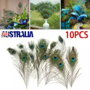 10pcs 25-30cm Beautiful Peacock Tail Eyes Feather Feathers Wedding Party Decor