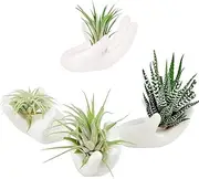 4 Pack Air Plant Holders Unique Ceramic Mini Airplants Stand Tillandsia Succulent Display Container Pot Cute Home Decor for Desk Table Shelf Window, White