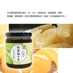 【蜂蜜沾醬】臺南市 麻豆區農會 蜂蜜柚子茶300g 點心下午茶 沾醬 蜂蜜 柚子 麻豆文旦 低熱量 純天然 農漁特產