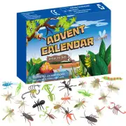 Advent Calendars For Kids Natural World Insect Gift Christmas Package Wonder Toy