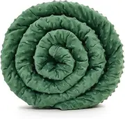 TONGDADA Weighted Blanket (Dark Green Minky, 36''x48'' 5lb)