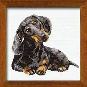RIOLIS - Dachshund 906, Dogs Cross Stitch Kits 9,84" x 9,84", Counted Cross Stitch Kits, Counted Cross Stitch Kits for Beginners & Advanced, Cross Stitching Kits for Adults, Dog Embroidery Kit