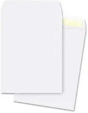 Business Source Plain Cataloge Envelope - #13 1/2 (10amp;quot; x 13amp;quot;) - 28lb - Gummed - Wove - 250 / Pack - White
