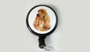 COCKER SPANIEL Retractable Reel ID Badge Holder Security Card Keychain FREE SHIP