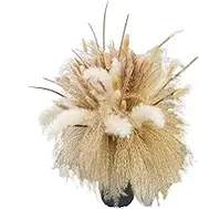 Natural Dried Pampas Grass,Wedding Rustic Boho Flowers - Dried Floral Centerpiece Home Decor for Table Decor, Rustic Farmhouse Party