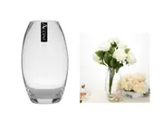 bulk 12 Round Belly Glass Vase 10x19cm