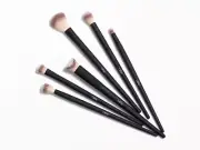 Lithe Everyday 6pc Cosmetic Brush Set