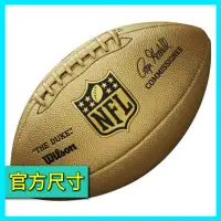 在飛比找蝦皮商城精選優惠-Official Size NFL Football Wil