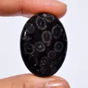 Natural Black Fossil Coral Oval Shape Cabochon Gemstone 36 Ct. 34X24X6 mm A-1042