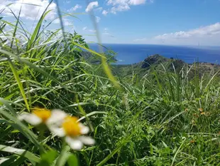 東部面的3臥室獨棟住宅 - 132平方公尺/2間專用衛浴Geoje President's Birth Villages, Beautiful Picnic