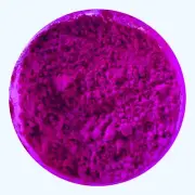 Edible BOUGAINVILLEA Petal Dust Cake Decorating Dust Gum Paste Powder 4 grams