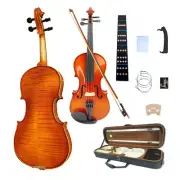 Handmade Advance 4 String Violin Kit 1/2 Full Size Ebony Fittings For Beginner