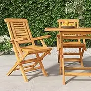 Patio Chair, Dining Chair with Armrest, Folding Garden Chairs 2 pcs for Patio, Restaurant, Yard, Poolside, 56 x 63 x 90 cm, Brown