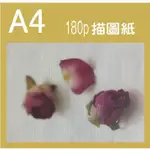 180磅 描圖紙 A4-100張