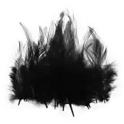 100 Pcs 3-5" Rooster Feathers Bulk Natural Feather for Crafts Black