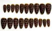 Custom Press on Gel Nails Animal Print in Regular Almond 20 Tips