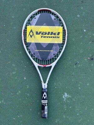 Volkl organix6 25