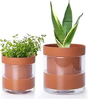 Phoenix Vine 4 Inch 6 Inch Self Watering Planter Pots, Terracotta Clay Pots with Glass Reservoir for Indoor Plants, Herbs, Flowers, 52-A-G