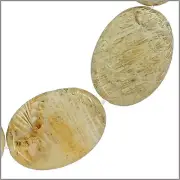 8 Fossilized Coral Flat Oval Beads 25mm #79030