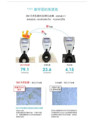 3M 天然乳膠幼童防蹣枕心(3-6歲適用)可拆卸水洗防蹣枕送3M兒童安全牙線棒-袋裝(38支)*1包 (8折)