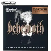 Dunlop BEHN1162-7 Behemoth Artist Custom 7-String Electric Guitar Strings 11-62