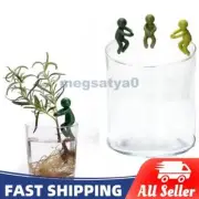 Plant Propagation Station Buddy Support Holding Stakes For Sprouts Stems Shoots