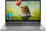 Ideapad 1 Laptop Computer for Home and Business Student, 32GB DDR4 RAM, 1TB Pcie