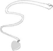 Abaodam Heart Shaped Ashes Pendant Cremation Jewelry for Pet Remembrance Stainless Steel Keepsake with Hidden Compartment for Dog Cat Human Ashes