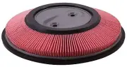 AF4669 Air Filter For Nissan 1998-2004 Pickup 4 cyl. 2.4L (KA24DE) (Mexico) (for: Nissan)