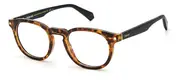 POLAROID-PLD D435-86-4921-GLASSES FRAMES
