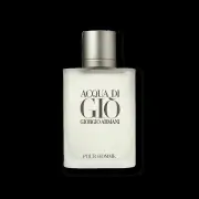 Giorgio Armani Acqua Di Gio EDT, 100ml