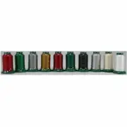 Exquisite Christmas Holiday 10 Spool Embroidery Polyester Thread Set New