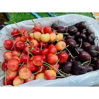 在飛比找蝦皮購物優惠-🇨🇱智利🍒雙色櫻桃禮盒 2kg（🚚全台宅配免運）