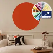 [Namly Design] Wall Sticker / Circle / Choose your own colour- Cozy Design