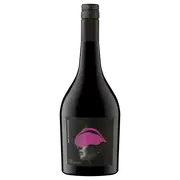 Mr Brightside Pf Shiraz 2023 | The Wine Collective