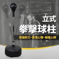 在飛比找PChome24h購物優惠-立式拳擊球柱(速度球/拳擊柱/打拳球/不倒翁/踢靶/落地式打