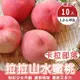 【果農直配】卡拉部落拉拉山水蜜桃x1盒(每盒10顆/約1.2-1.4kg)